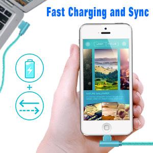 Fast Charger and Data Transfer